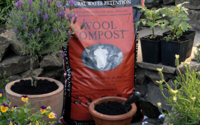 Compost